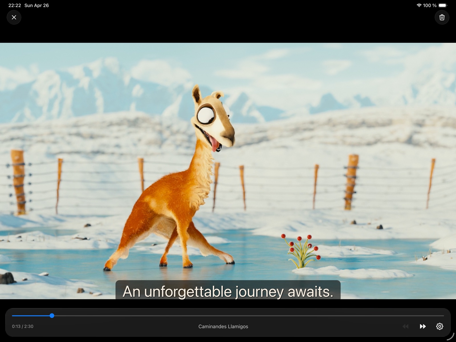 Player with subtitles